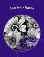 Color Pretty Pictures: Relax and Unwind 1545298173 Book Cover