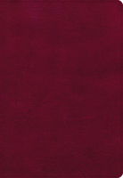 NASB Super Giant Print Reference Bible, Burgundy LeatherTouch 1087756294 Book Cover