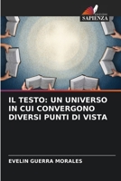 IL TESTO: UN UNIVERSO IN CUI CONVERGONO DIVERSI PUNTI DI VISTA 6206007561 Book Cover