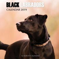 Black Labradors Calendar 2019: 16 Month Calendar 1725173816 Book Cover