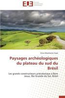 Paysages Archa(c)Ologiques Du Plateau Du Sud Du Bra(c)Sil 3841790453 Book Cover