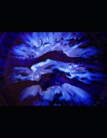 Human rights violations in Indian Occupied Kashmir since August 5, 2019 B088LDHSK6 Book Cover