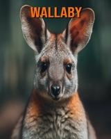 Wallaby: Buch mit erstaunlichen Fotos und lustigen Fakten für Kinder B0CF4FMM3G Book Cover