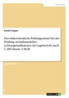 Der Risikoorientierte Prufungsansatz Bei Der Prufung Nichtfinanzieller Leistungsindikatoren Im Lagebericht Nach 289 Absatz 3 Hgb 3668026874 Book Cover