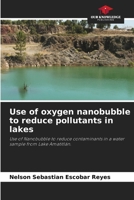 Use of oxygen nanobubble to reduce pollutants in lakes 6206978168 Book Cover