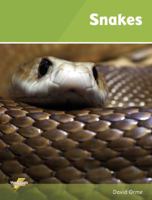 Snakes: Set 1 1781270589 Book Cover