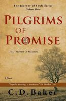 Pilgrims of Promise (Journey of Souls) 1589190149 Book Cover