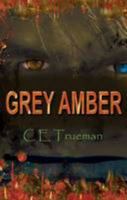 Grey Amber 1907172653 Book Cover