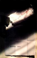 Sex With Strangers 0374261652 Book Cover