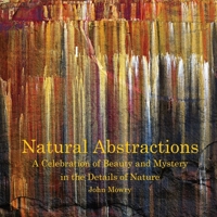 Natural Abstractions B0BWX56PZH Book Cover