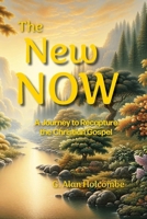 The New Now: A Journey to Recapture the Christian Gospel B0DRFKJ517 Book Cover
