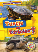 Turtle or Tortoise? 1618919504 Book Cover