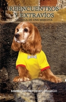 Reencuentros y extravíos: Crónica de una mascota (Spanish Edition) 9584476815 Book Cover