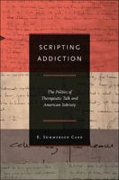 Scripting Addiction: The Politics of Therapeutic Talk and American Sobriety 0691144508 Book Cover