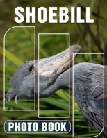 Shoebill Photo Book: Explore The Enigmatic Shoebill Through 40 Stunning Captivating Images And Unique Facts B0DPS3Q295 Book Cover