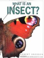 What Is an Insect 087156923X Book Cover