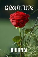 Gratitude Journal: Be grateful today - Attitude of gratitude - Well-being - 100 pages - Daily - Everyday - Grateful - Gift - Booklet to be filled in - Notes - 5 minutes a day - Grace and gratitude - A 1673729533 Book Cover