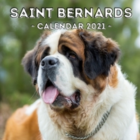 Saint Bernards: 2021 Wall Calendar, Cute Gift Idea For St.Bernard Dog Lovers Or Owners Men And Women B08QWY5TWM Book Cover