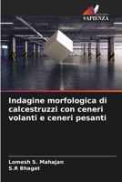 Indagine morfologica di calcestruzzi con ceneri volanti e ceneri pesanti 6206014819 Book Cover