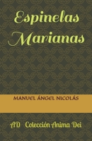 Espinelas Marianas B0CCCSSJ9L Book Cover