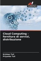 Cloud Computing - fornitura di servizi, distribuzione (Italian Edition) 620447913X Book Cover