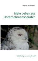 Mein Leben als Unternehmensberater: Teil 4: Sackgasse oder Aufbruch? 3754371908 Book Cover