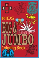Kids Big & Jumbo Coloring Book: 100 pages Birds,insects,flowers,shapes,animals painting: age between 2-8,preschool and kindergarten portraits album. B08YQR6CBH Book Cover