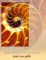 Stillpoint: The Geometry of Consciousness 0692057064 Book Cover