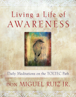 Living a Life of Awareness: Daily Meditations on the Toltec Path 1938289234 Book Cover