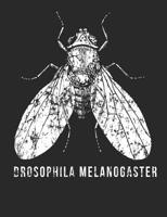 Drosophila Melanogaster: An elegant 110-page 7.44''x 9.69'' Wide Ruled Lined Composition Fruit Fly Notebook Drosophila Melanogaster for Scientists 1073557766 Book Cover