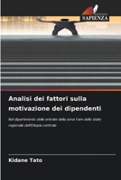 Analisi dei fattori sulla motivazione dei dipendenti (Italian Edition) 663009736X Book Cover