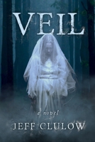 Veil: a novel 1764139712 Book Cover