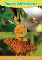 Ocean Adventures, Volume 3: Winged Creatures, Waterfalls, and Wild Reptiles B0079ULN4G Book Cover