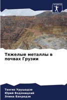 Тяжелые металлы в почвах 6205693887 Book Cover