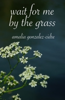 wait for me by the grass B0BXMJHXN4 Book Cover
