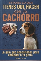 Esto es lo que tienes que hacer con tu cachorro: Y por qué todo lo demás no te está funcionando ( guía práctica para el día a día) (Spanish Edition) B0GXH7FL1Q Book Cover