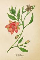 Wildflower: Soft Cover Journal with Vintage Botanical Pink Flower Illustration 1790969247 Book Cover