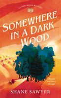 Somewhere In A Dark Wood (The Edie Doyle Mysteries) 0998438529 Book Cover
