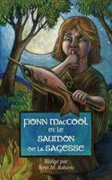 Fionn MacCool et le saumon de la sagesse: Un conte traditionnel au sujet d'un h�ros ga�lique pr�sent� comme une histoire gestuelle pour les enfants � lire � haute voix 1988747406 Book Cover