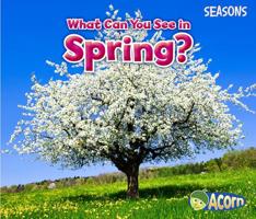 What Can You See in Spring? 1484603540 Book Cover