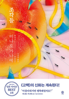 カケラ 9573335492 Book Cover
