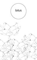 Lotus 036842166X Book Cover
