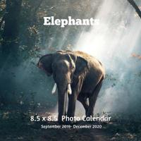 Elephants 8.5 X 8.5 Calendar September 2019 -December 2020: Monthly Calendar with U.S./UK/ Canadian/Christian/Jewish/Muslim Holidays-Elephant Animals Nature 1070717304 Book Cover