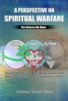 A Perspective on Spiritual Warfare: The Choices We Make B0DQVDRC6S Book Cover