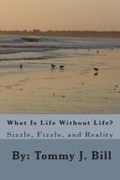 What Is Life Without Life: Sizzle, Frizzle, and Reality 1495215717 Book Cover