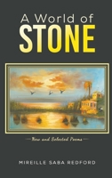 A World of Stone 1528984285 Book Cover