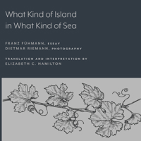 What Kind of Island in What Kind of Sea? 1643150278 Book Cover