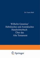Hebraisches Und Aramaisches Handworterbuch Uber Das Alte Testament 3642493947 Book Cover
