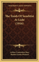 The Tomb Of Senebtisi At Lisht... 1016799217 Book Cover