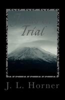 Jesus on Trial: You Are the Sole Juror You Have to Decide 1456591177 Book Cover